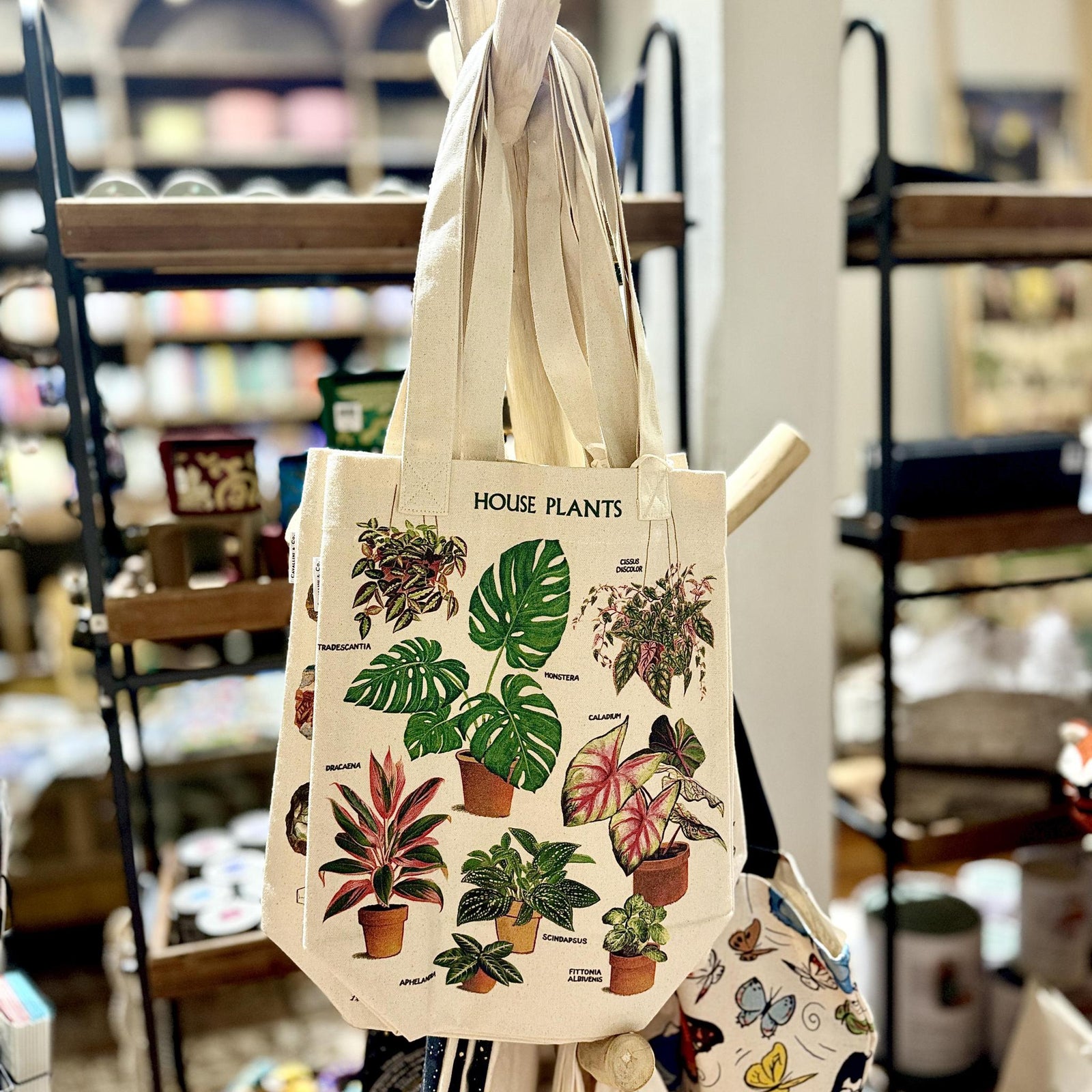 House Plants Tote Bag
