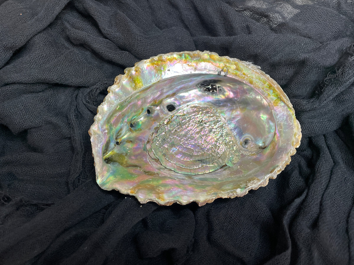 Abalone Shell Cleansing Bowl
