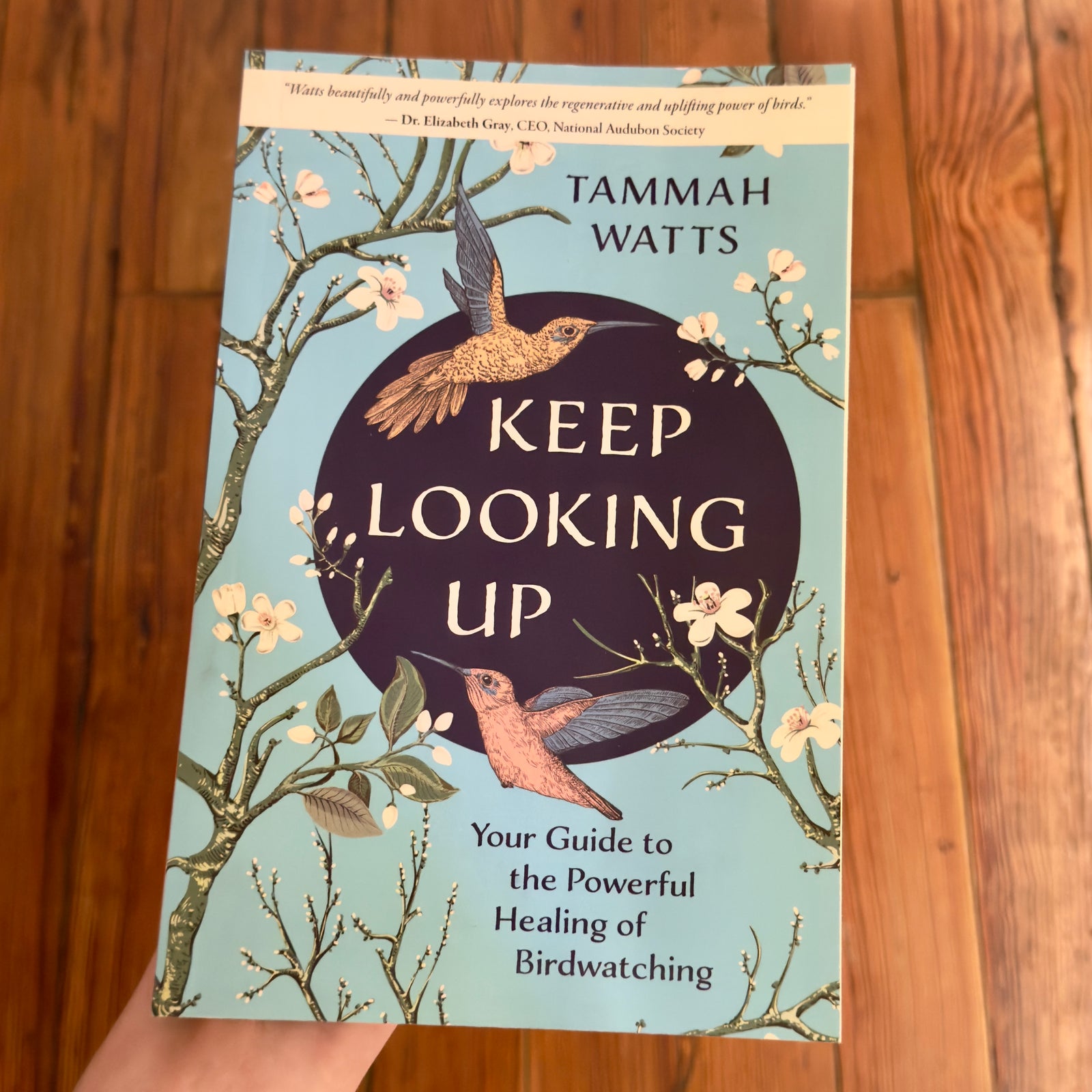 Keep Looking Up: Your Guide to the Powerful Healing of Birdwatching