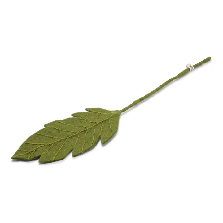 Leaf Branch