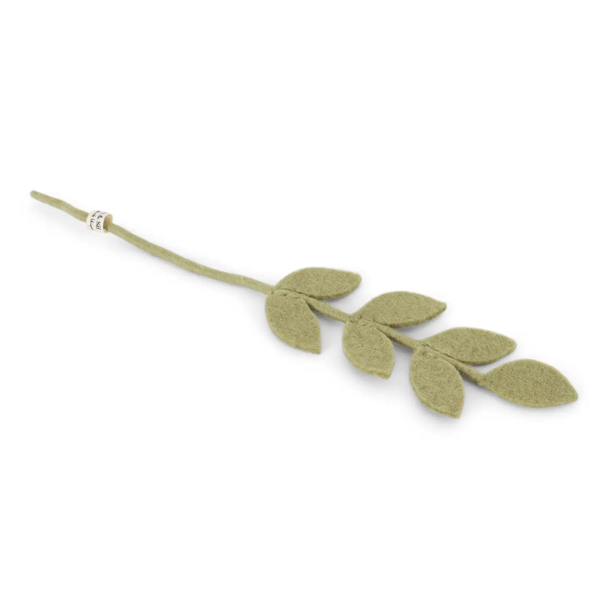 Leaf Branch