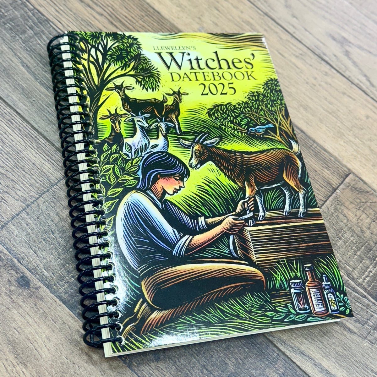 Llewellyn's 2025 Witches' Datebook