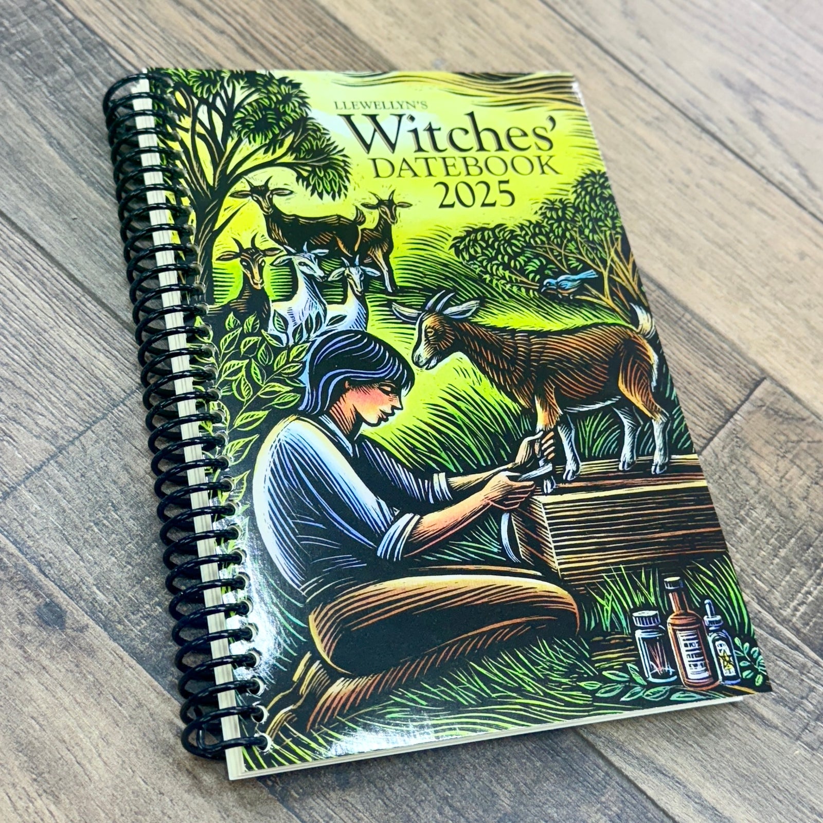 Llewellyn's 2025 Witches' Datebook