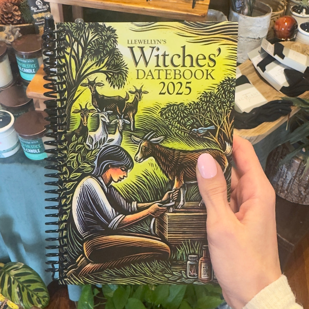 Llewellyn's 2025 Witches' Datebook