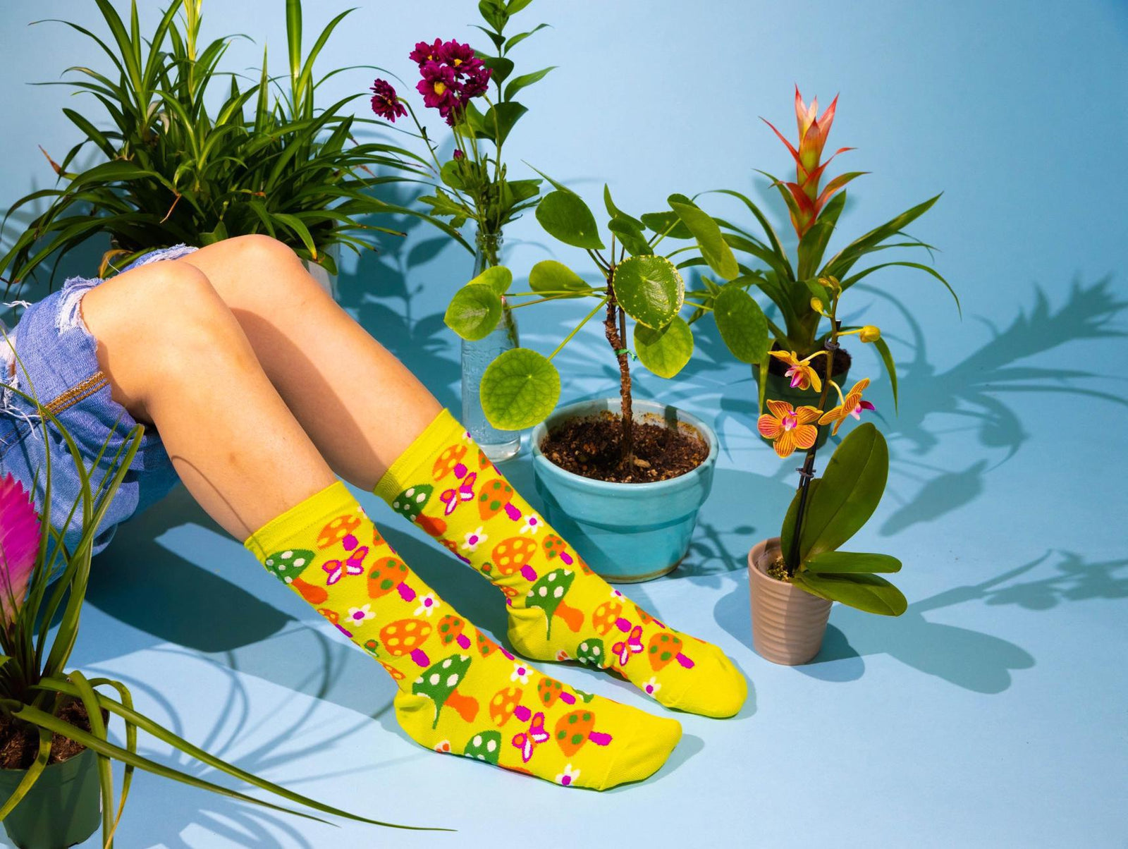 Moths Socks