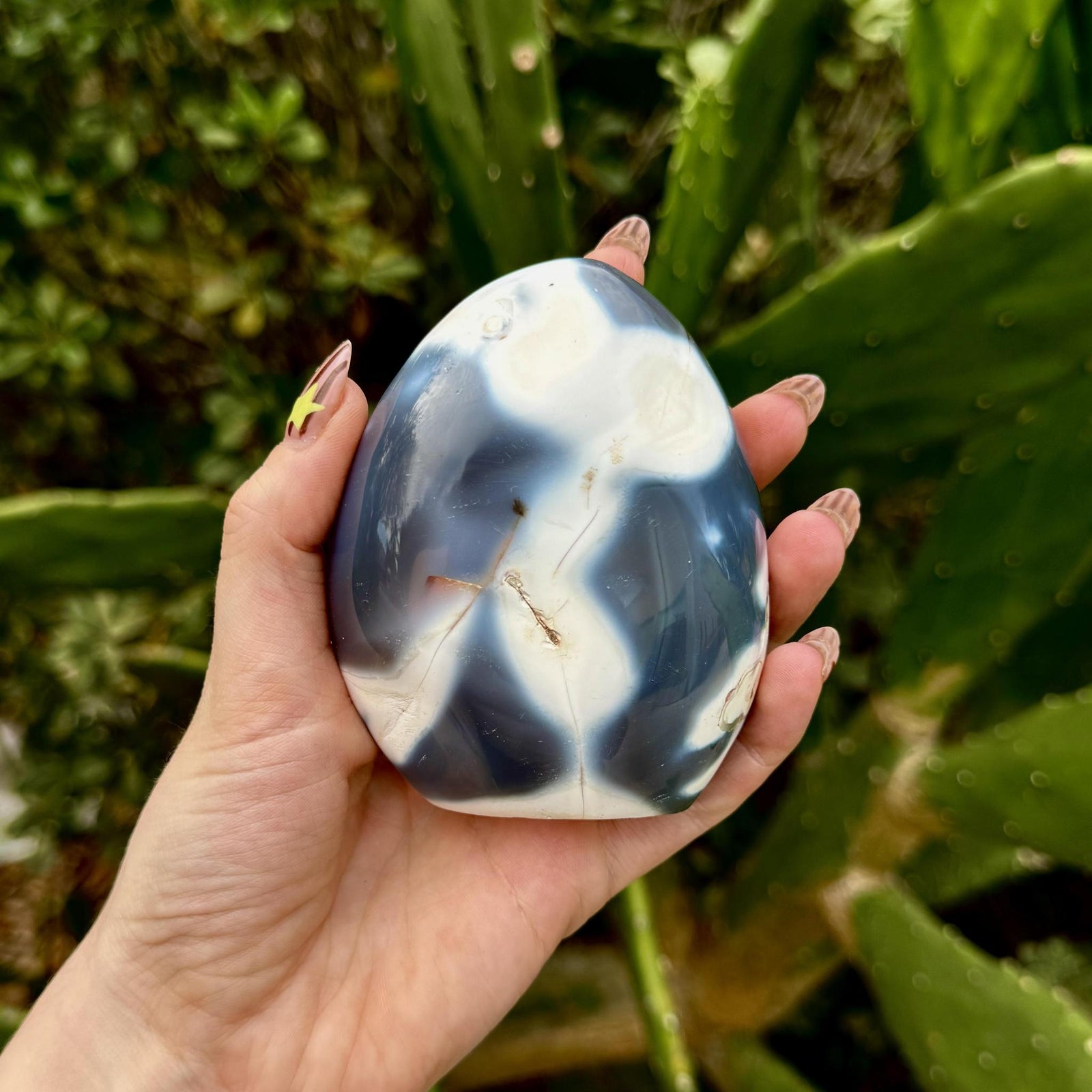 Orca Agate Free Form