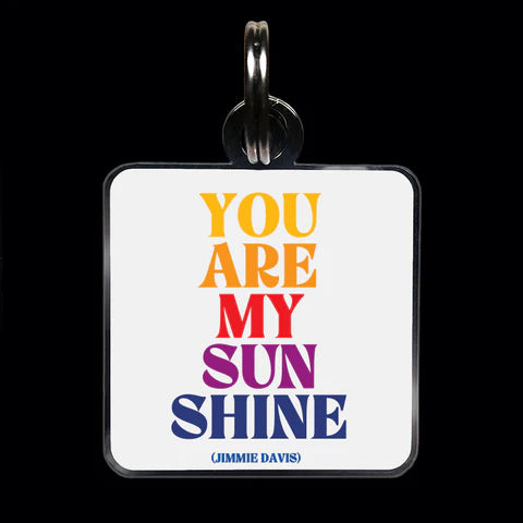Pet Collar Charm