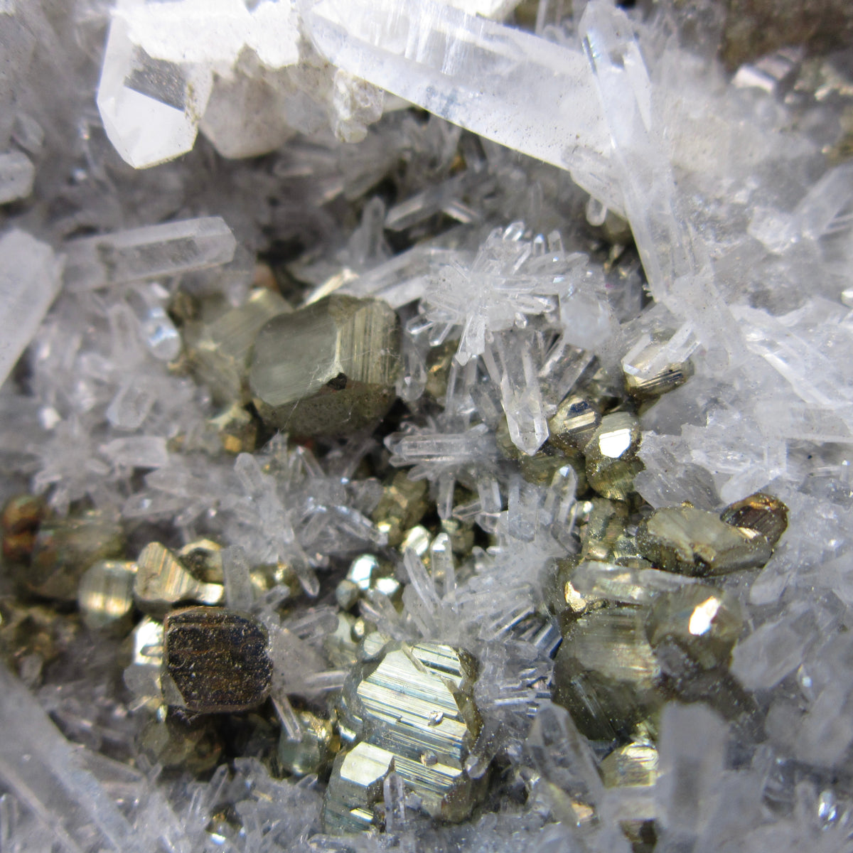 Pyrite with Clear Quartz Chunk