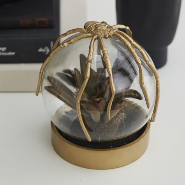 Spider Cloche
