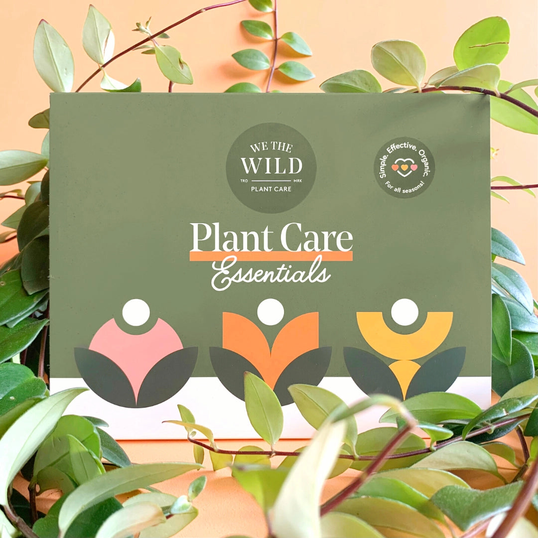 XEssential Plant Care Kit