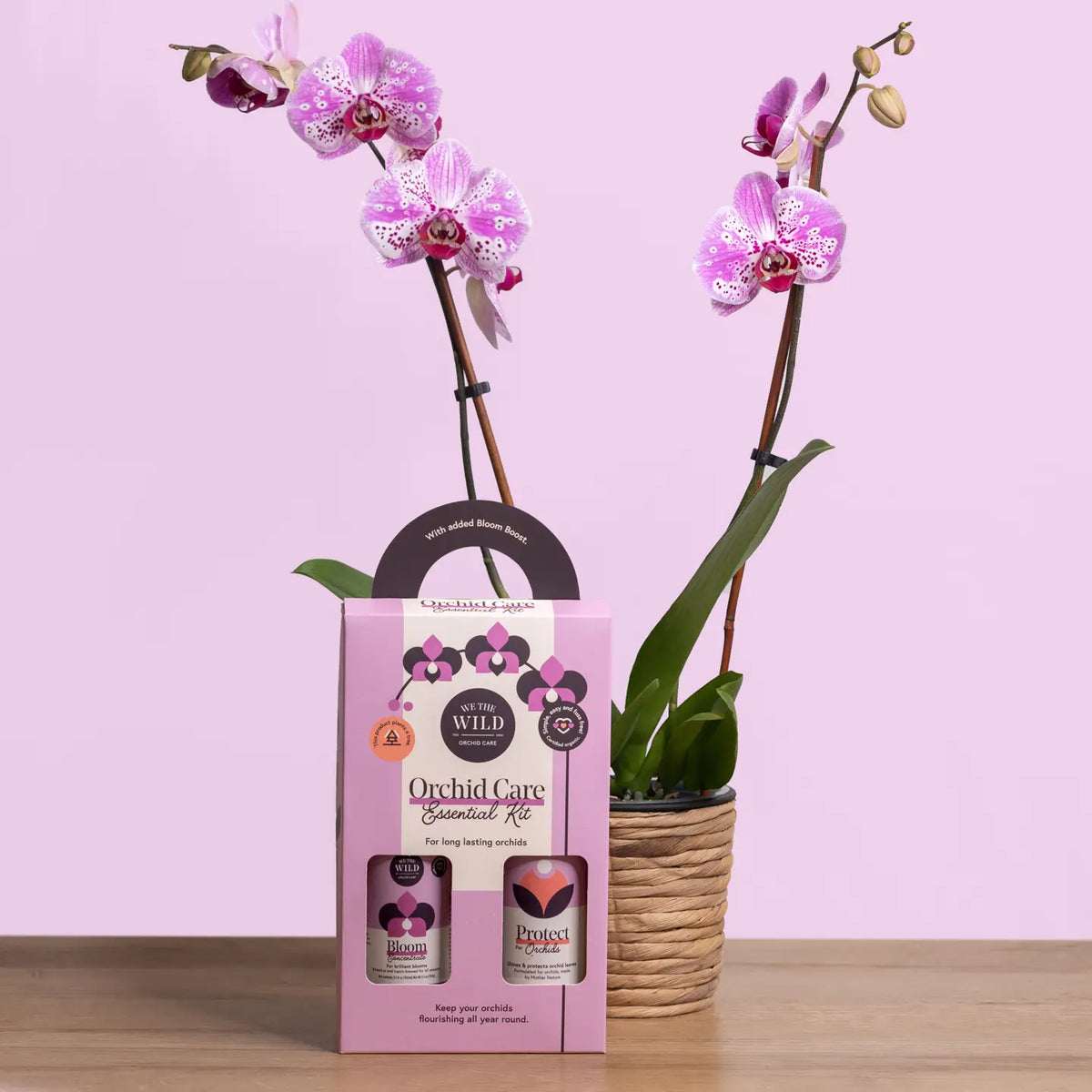 XOrchid Essential Kit