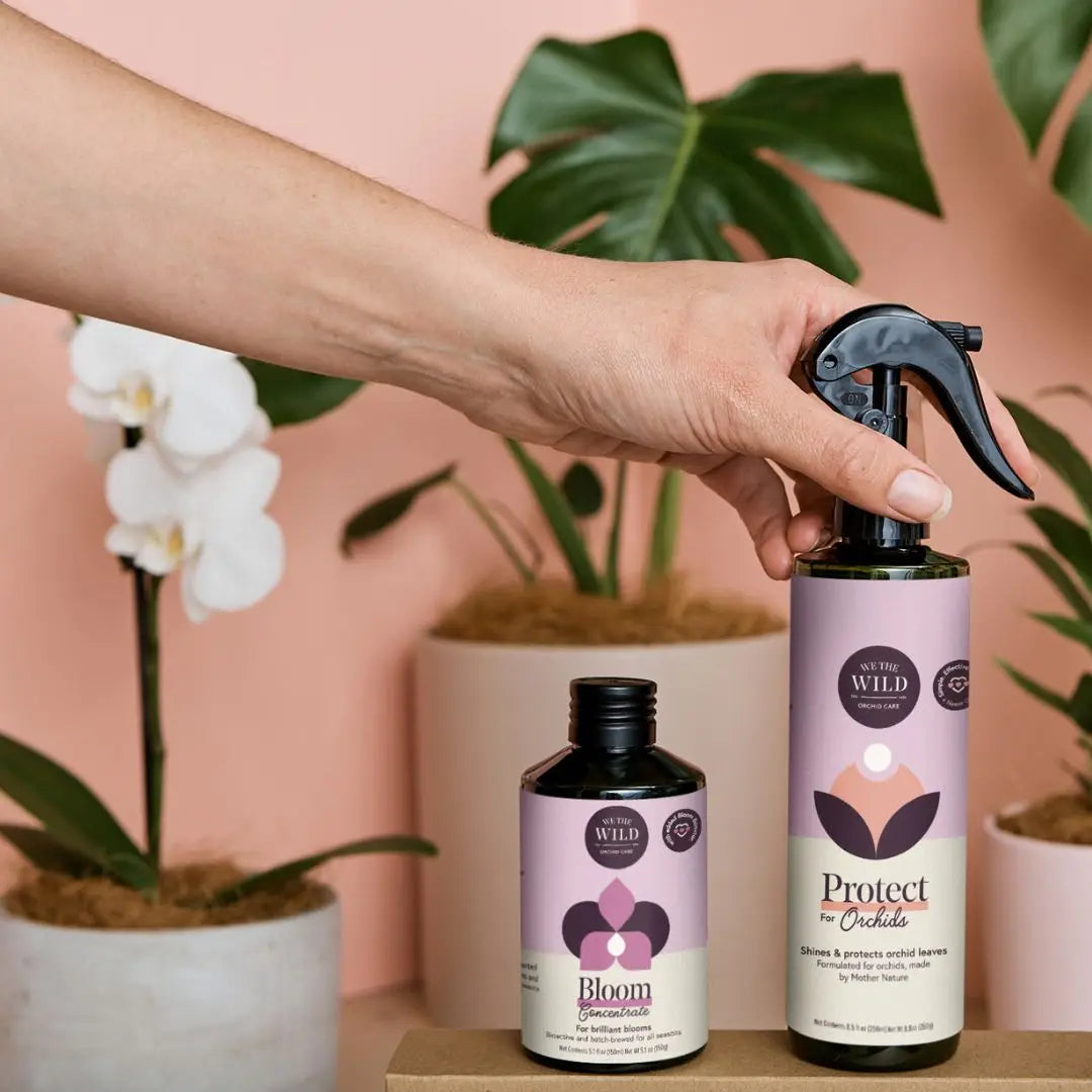 XOrchid Essential Kit