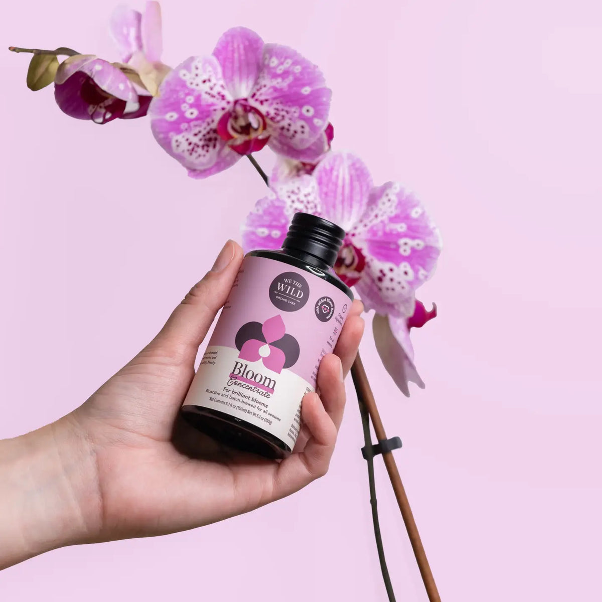 XOrchid Essential Kit