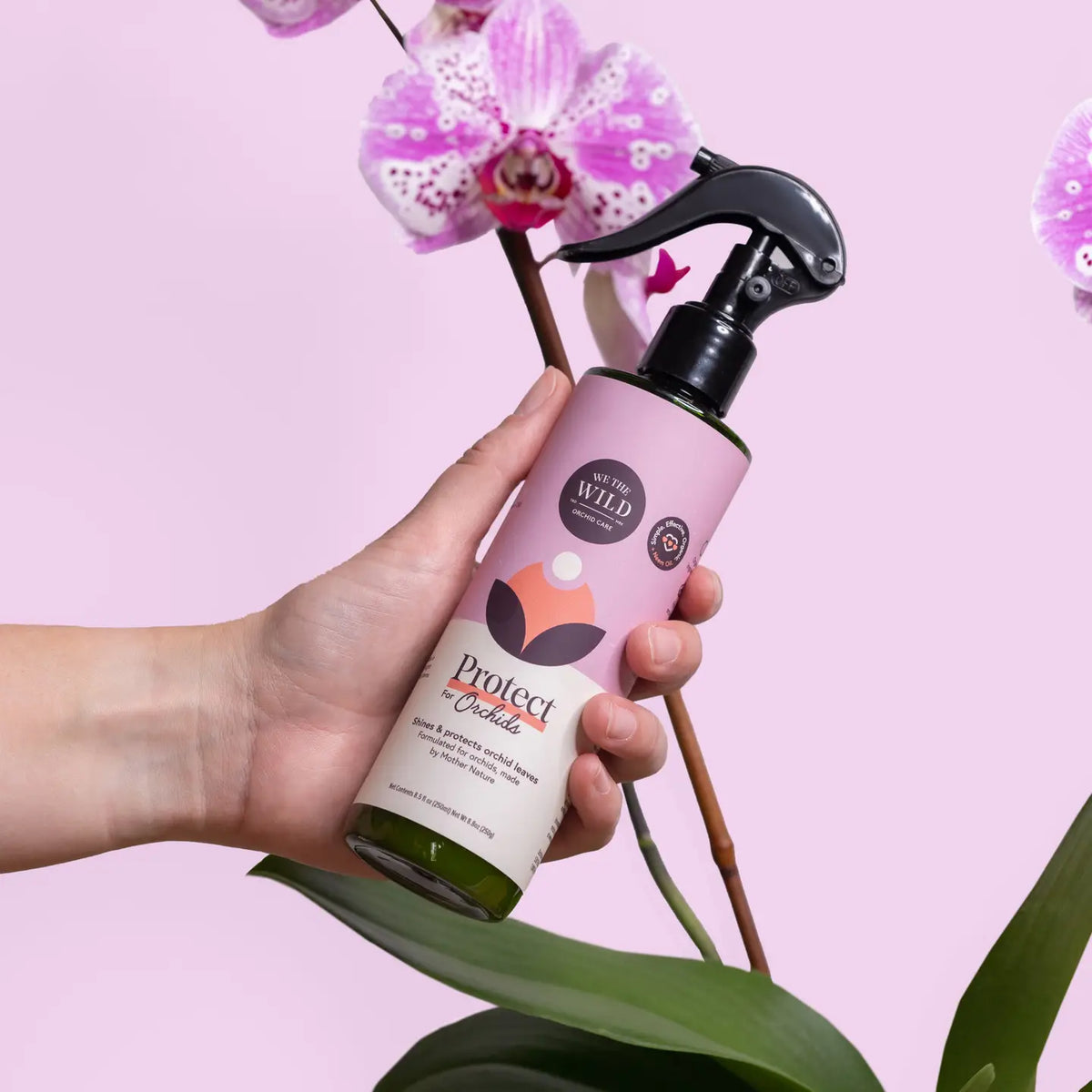 XOrchid Essential Kit
