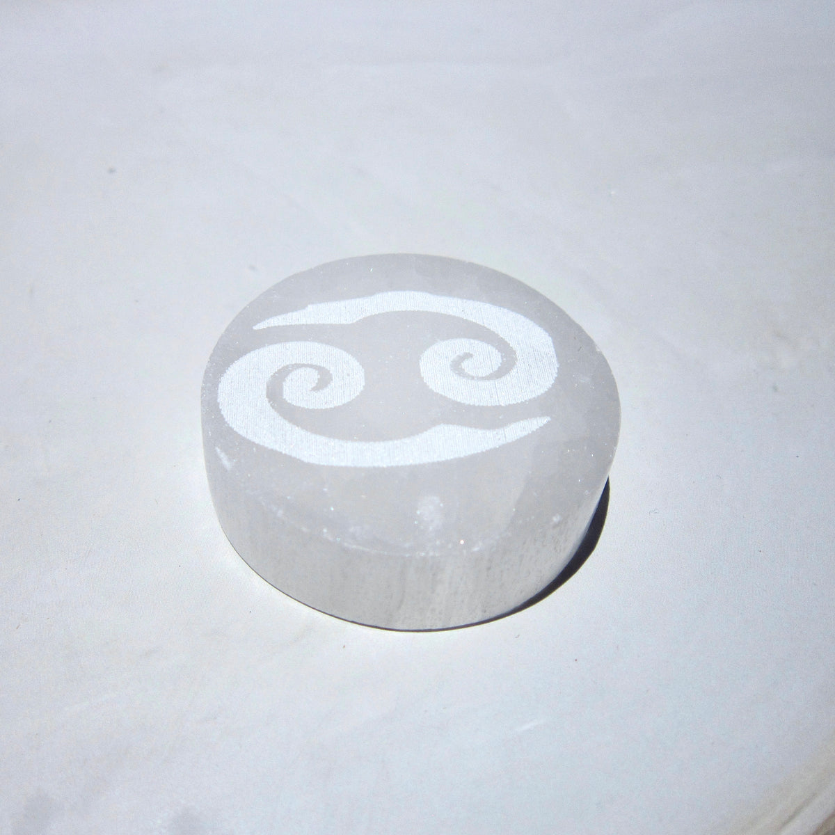Zodiac Selenite Coin