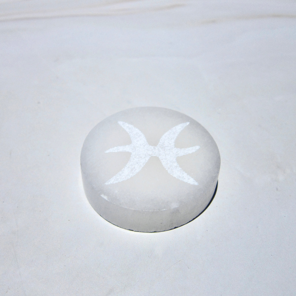 Zodiac Selenite Coin