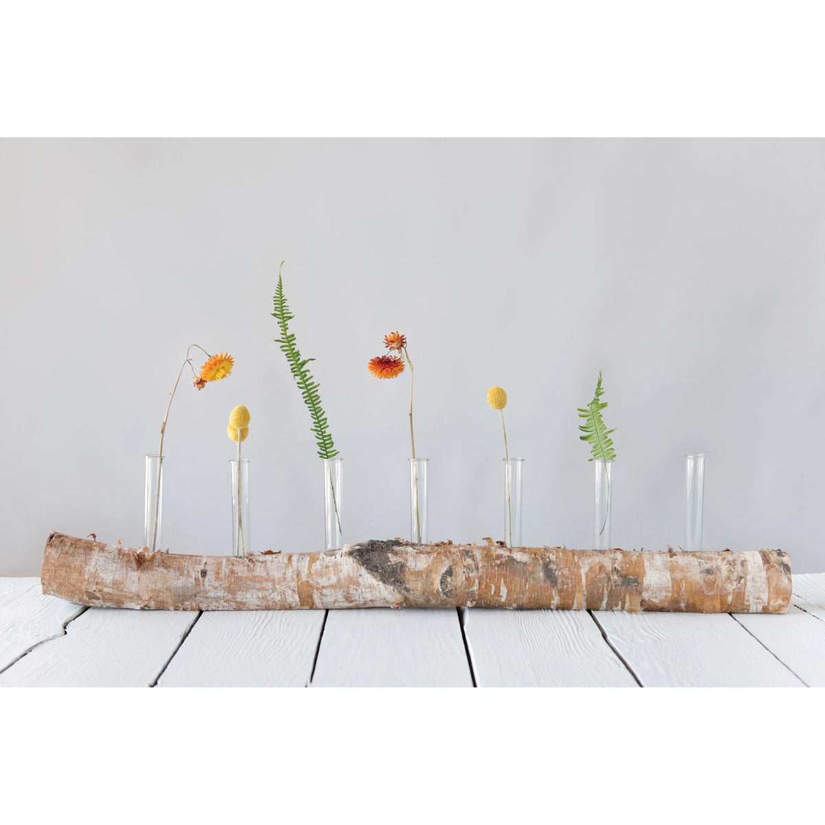 31"L Birch Wood Log w/7 Glass Tube Vases