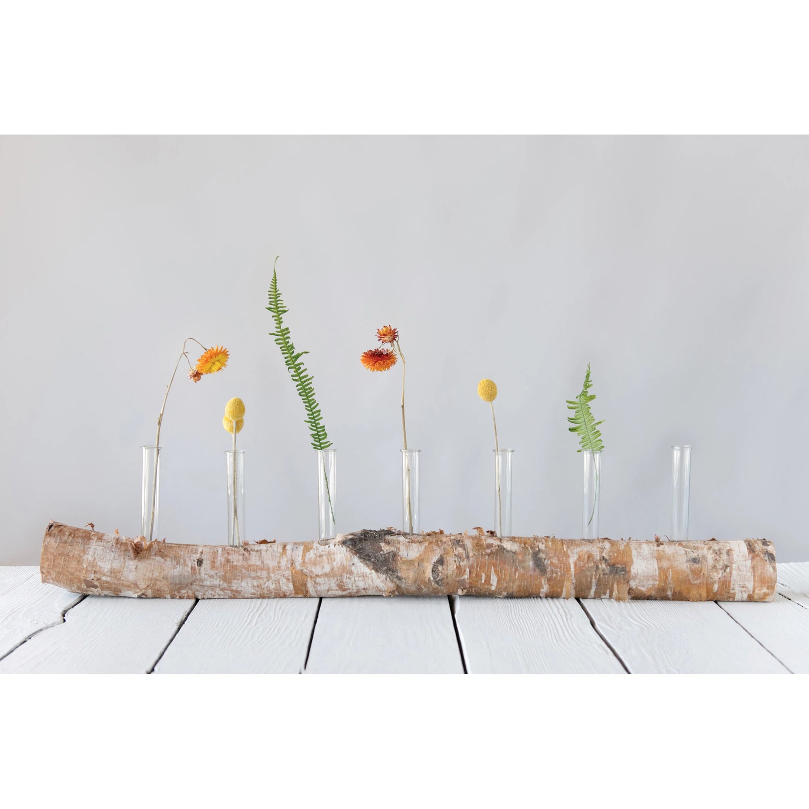 31"L Birch Wood Log w/7 Glass Tube Vases