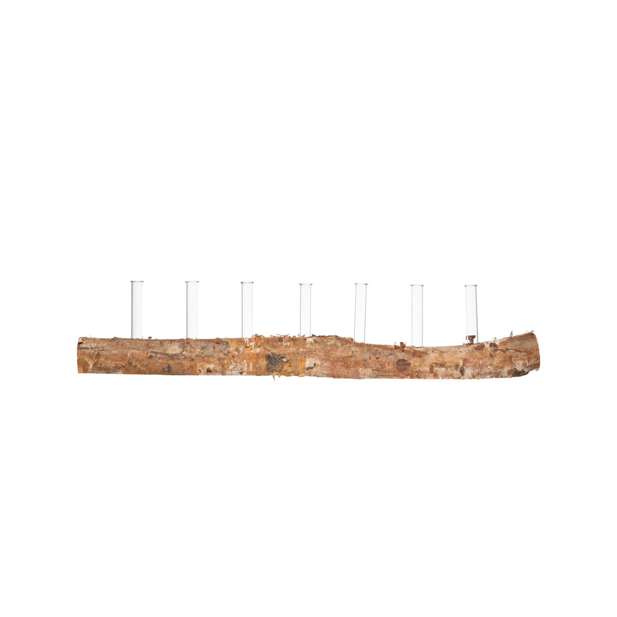 31"L Birch Wood Log w/7 Glass Tube Vases