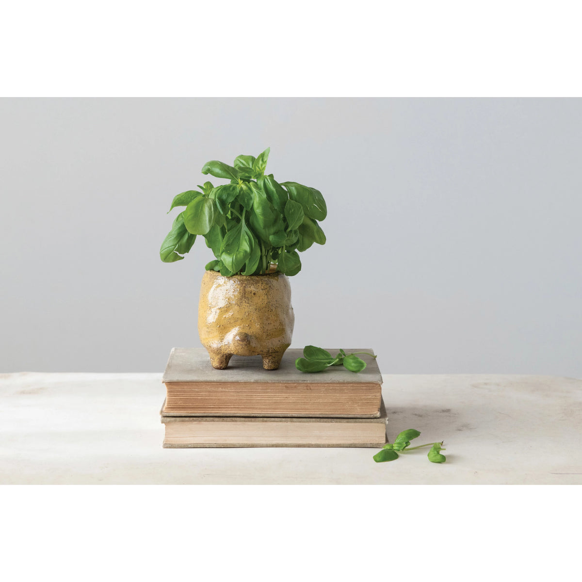 4 3/4" Stoneware Turtle Pot