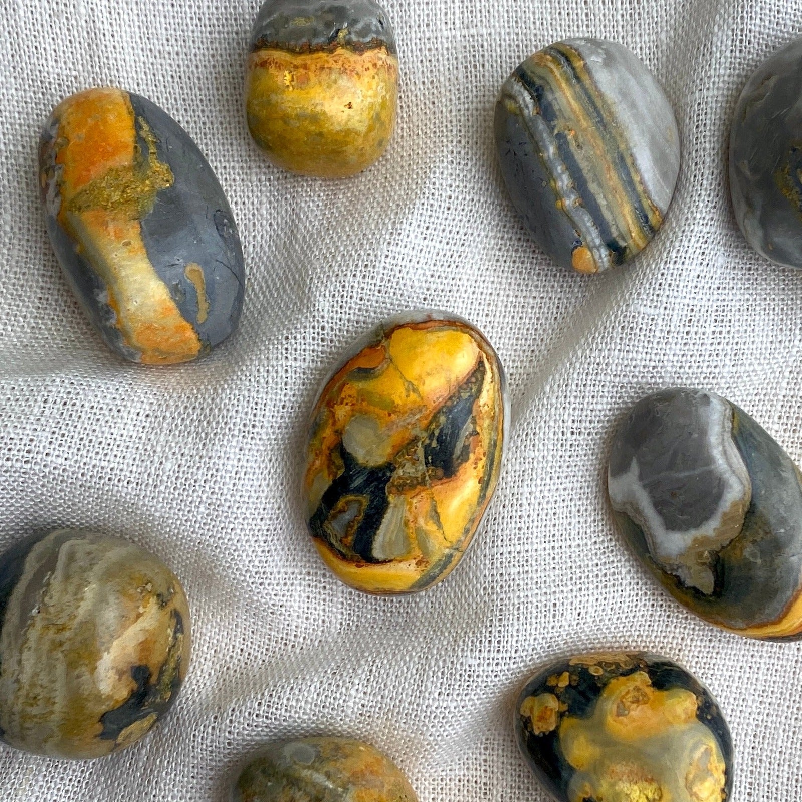 Bumblebee Jasper Tumble