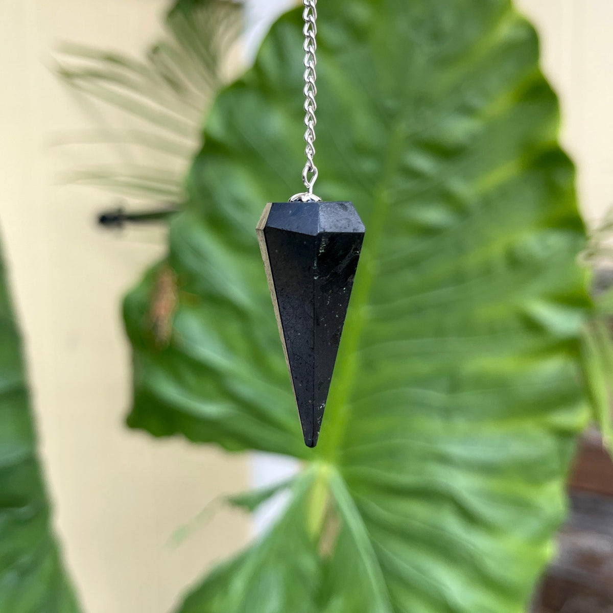 Crystal Pendulums shungite