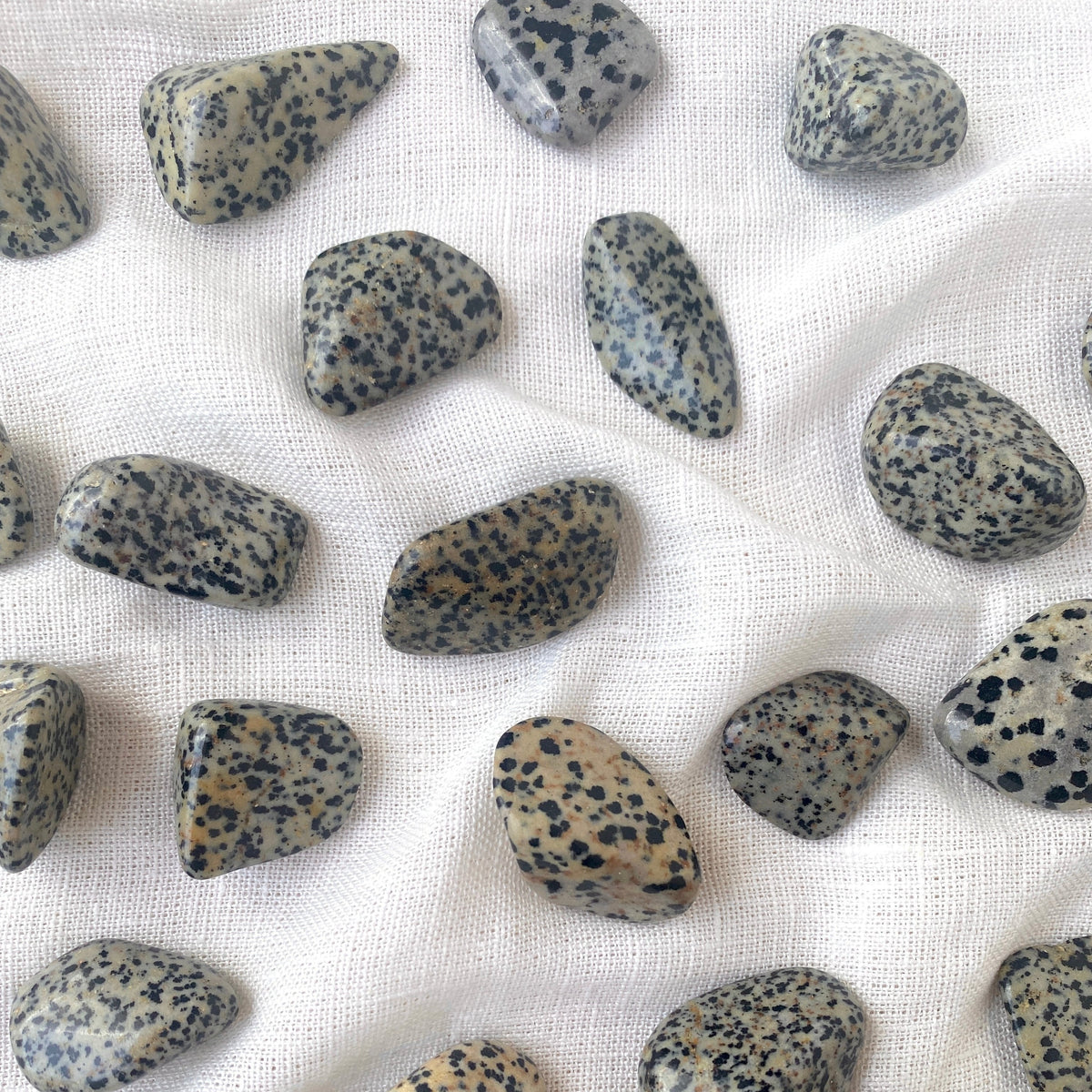 Dalmation Jasper Tumble