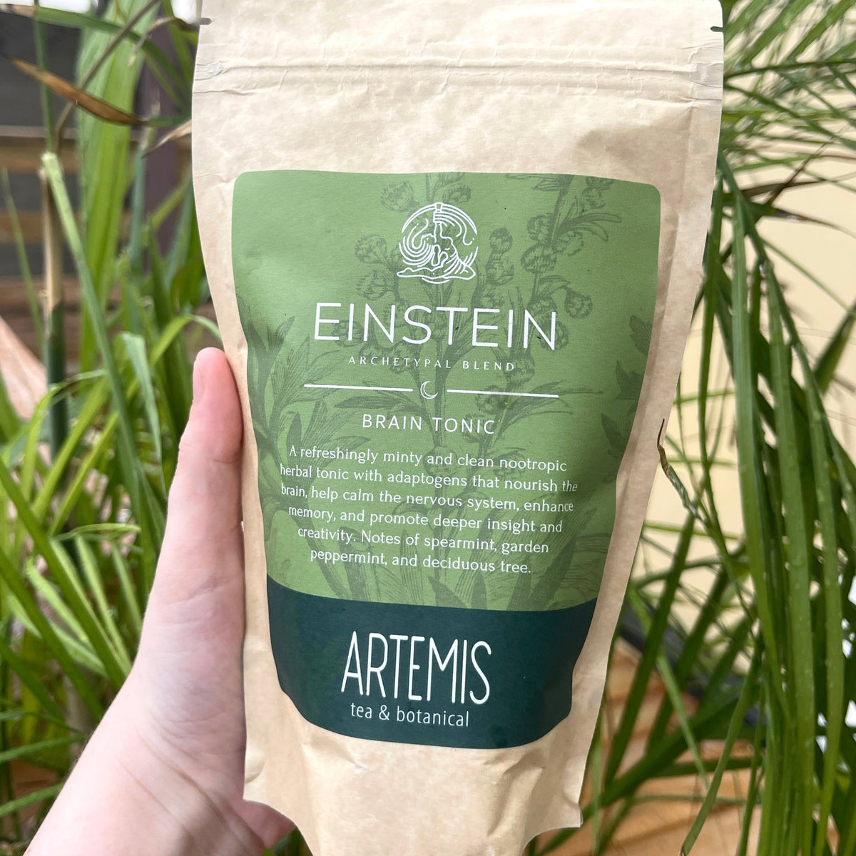 Einstein: Minty Brain Tea &amp; Tonic to promote deeper concentration and creativity. Holy basil, spearmint, peppermint, ginkgo bilboa, wood betony, skullcap, gotu kola, rosemary, rosehips, essence of peppermint. organic | caffeine-free