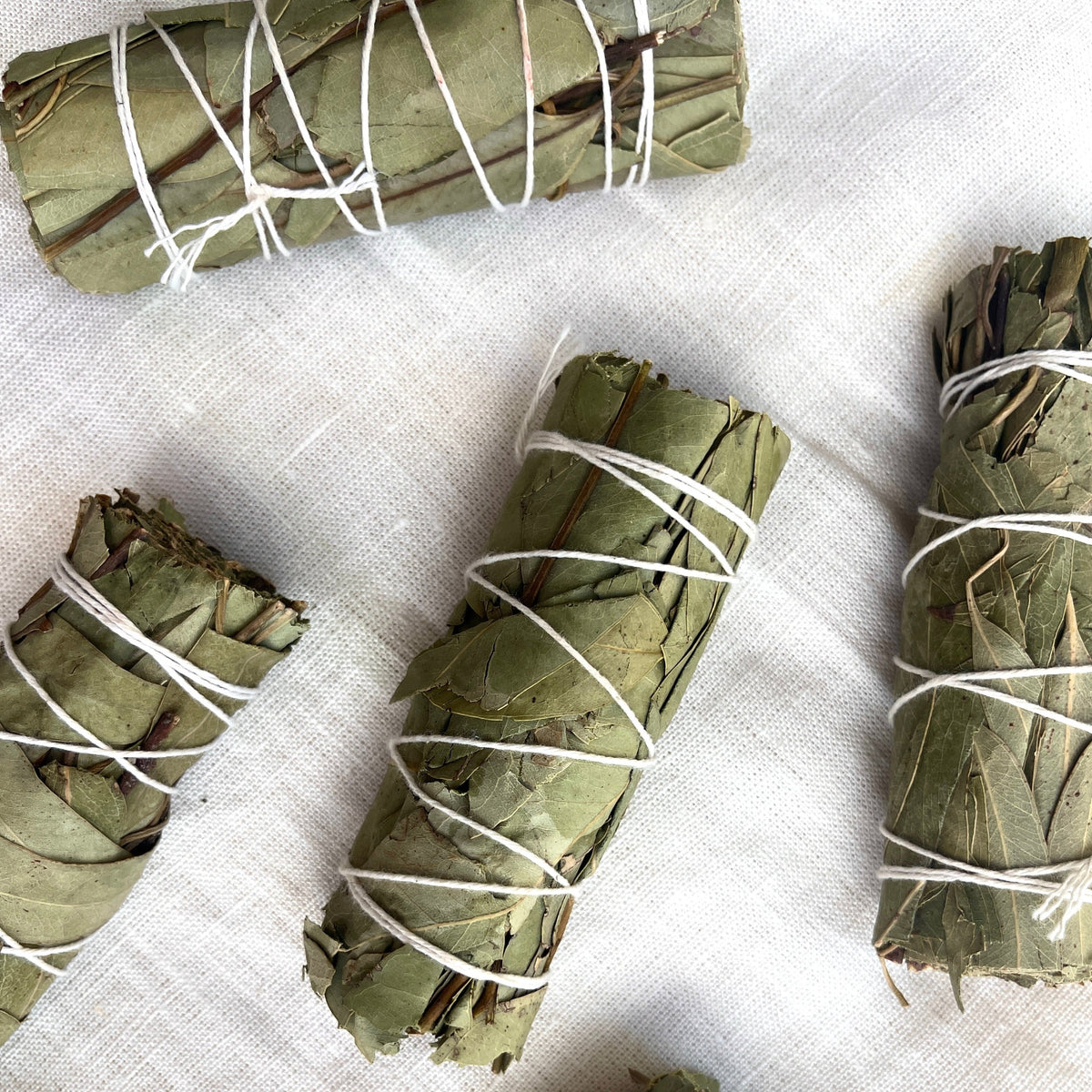 Eucalyptus Bundle sage