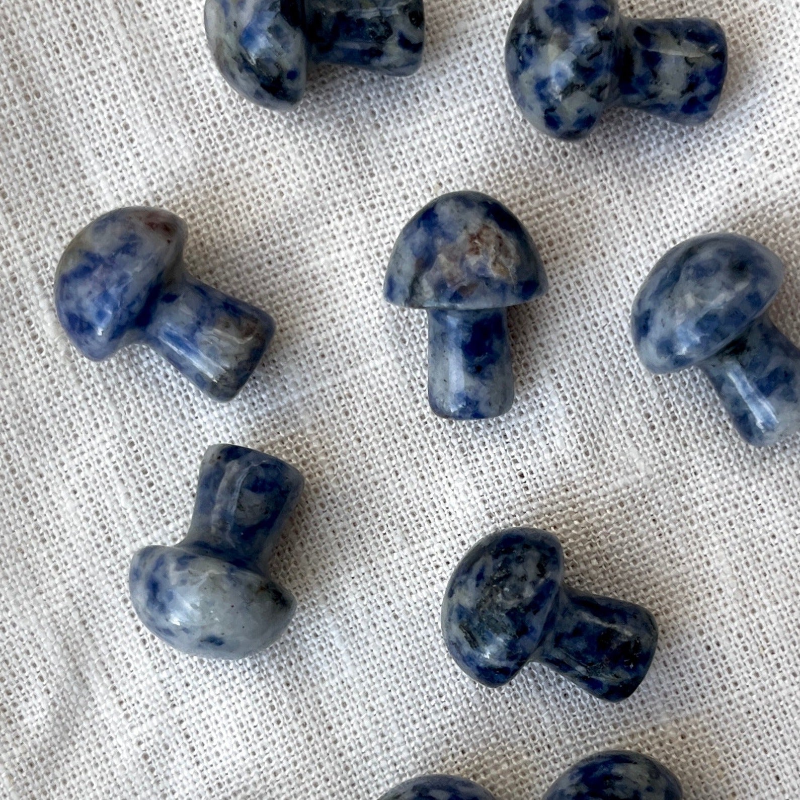Sodalite Tiny Mushroom