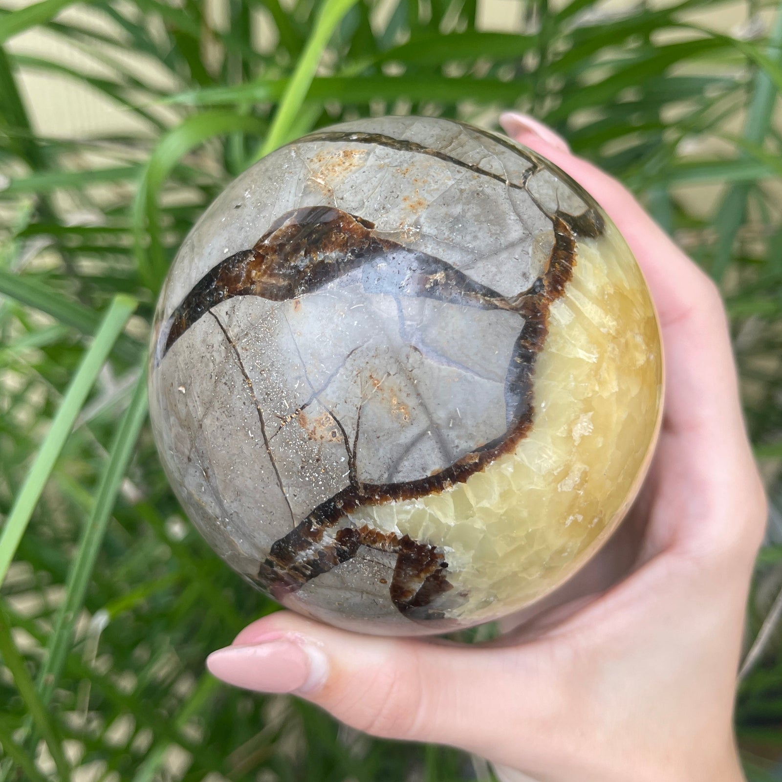 Septarian Spheres