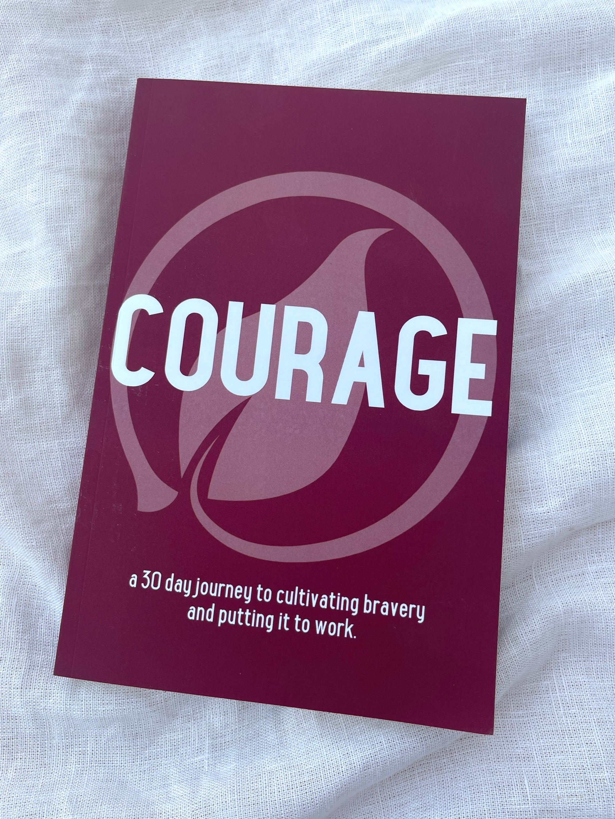 Courage 30 Day Guided Journal