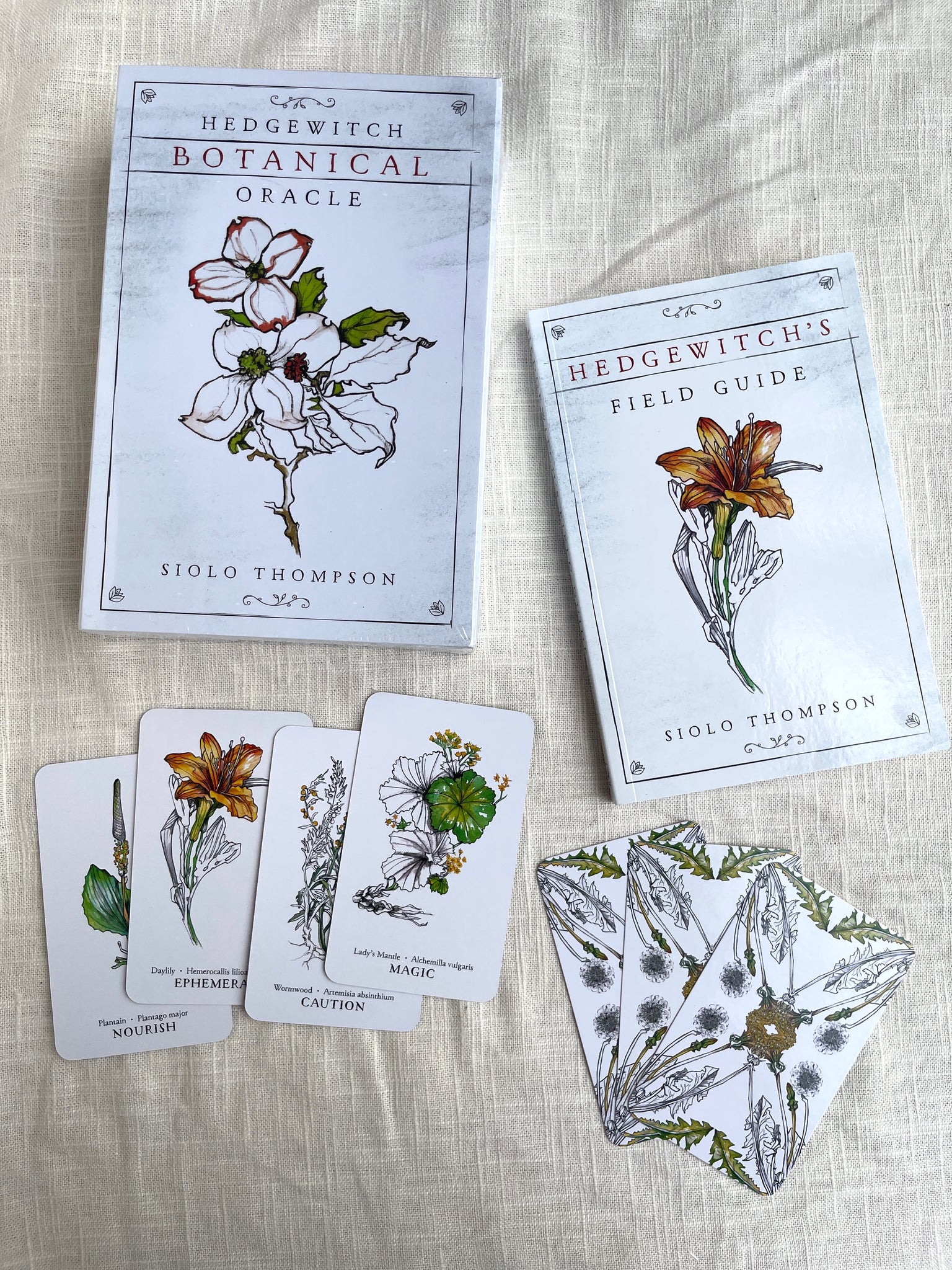 Hedgewitch Botanical Oracle deck