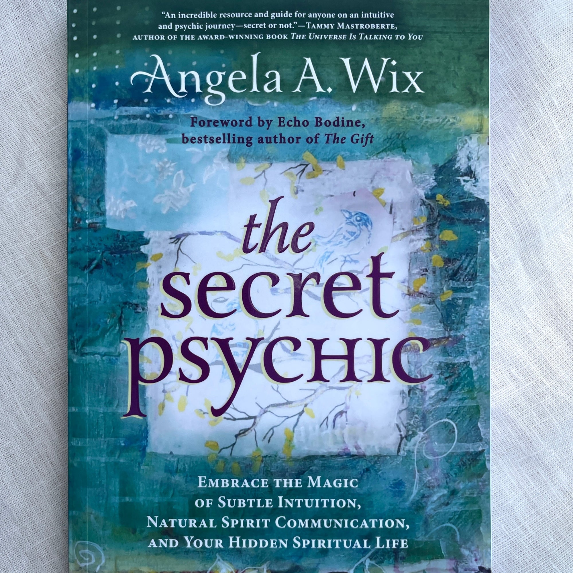 The Secret Psychic book embrace the magic of subtle intuition, natural spirit communication, and your hidden spiritual life by angela a wix