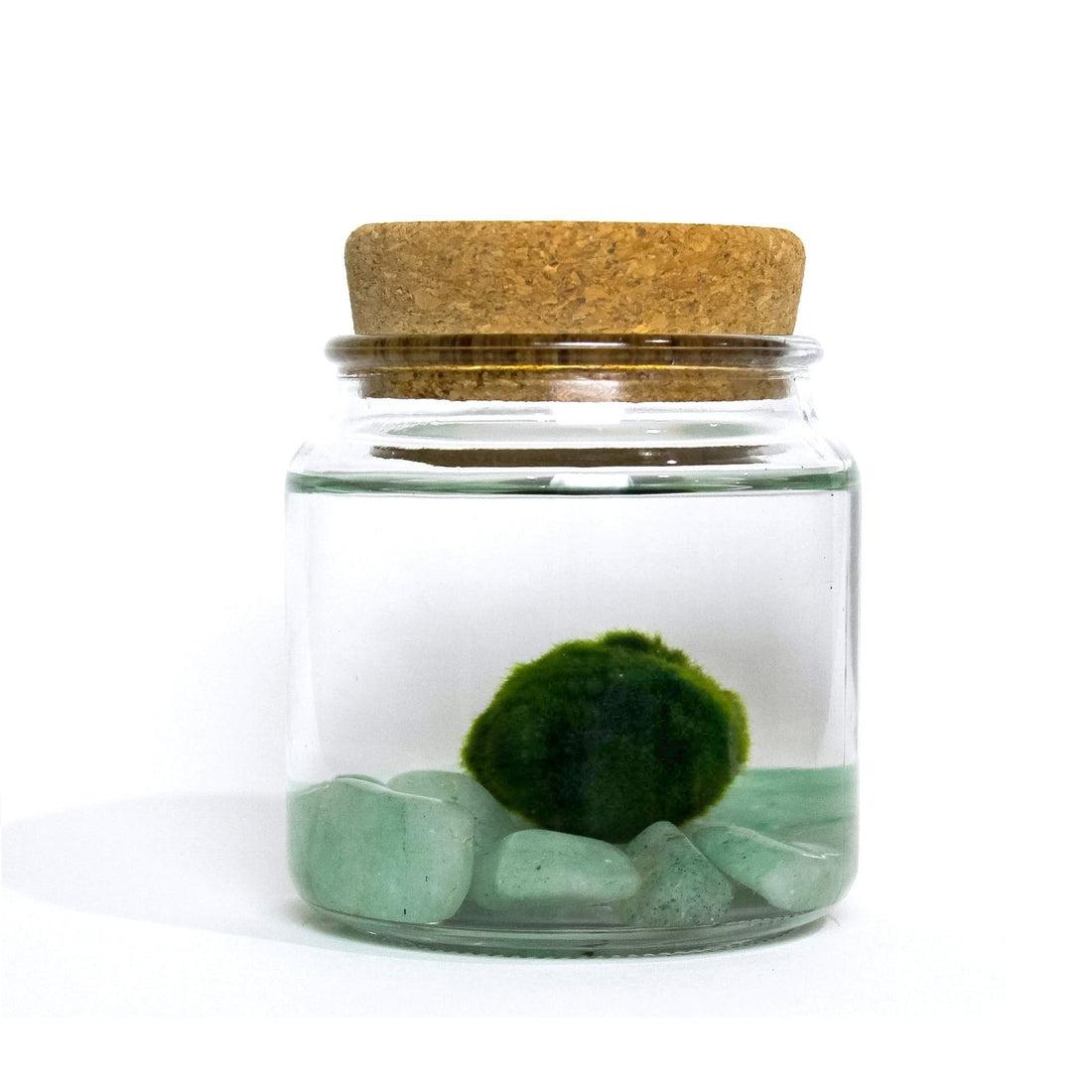 Aventurine Moss Amigo
