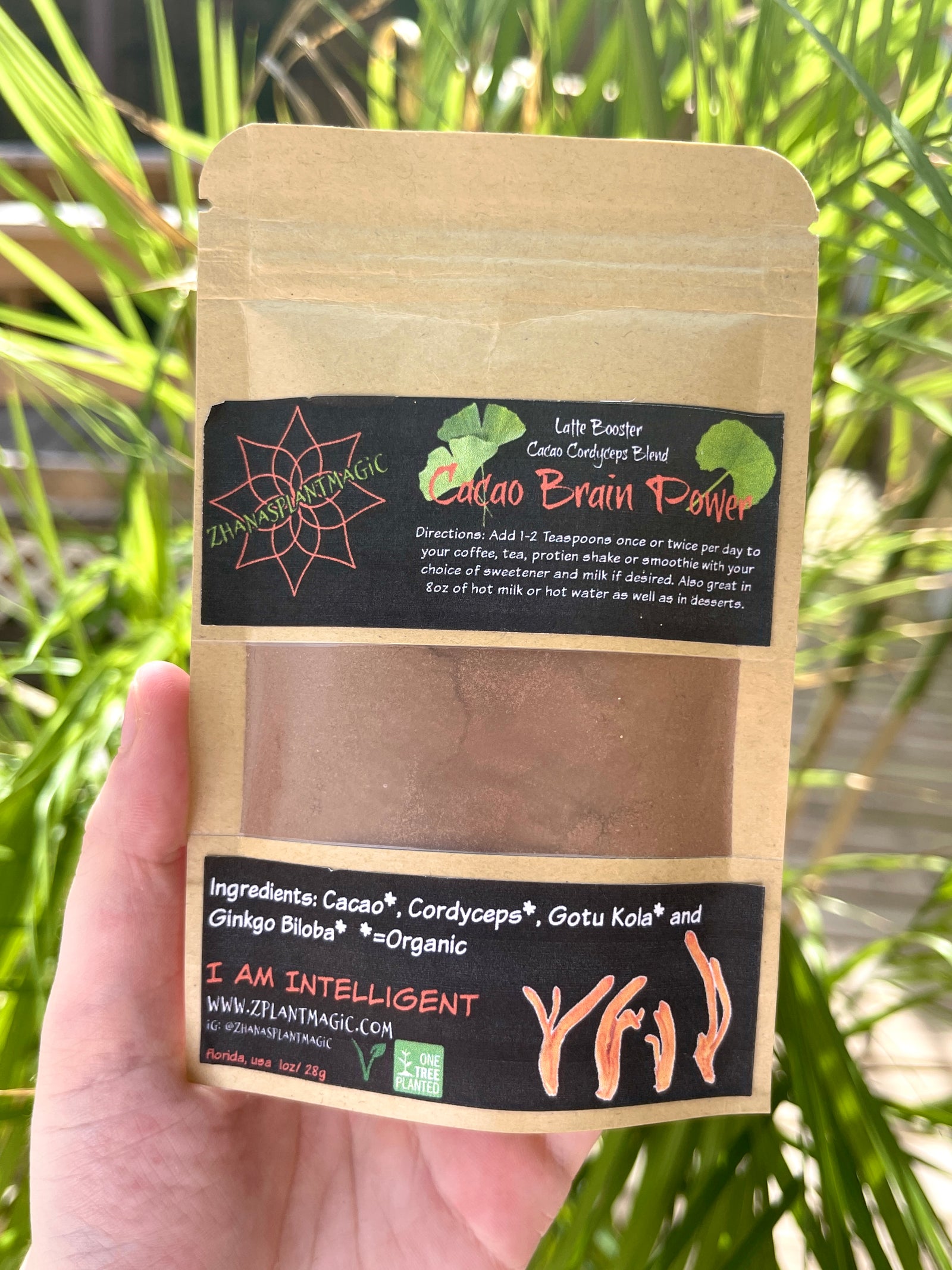 Cacao Brain Power Mushroom Blend