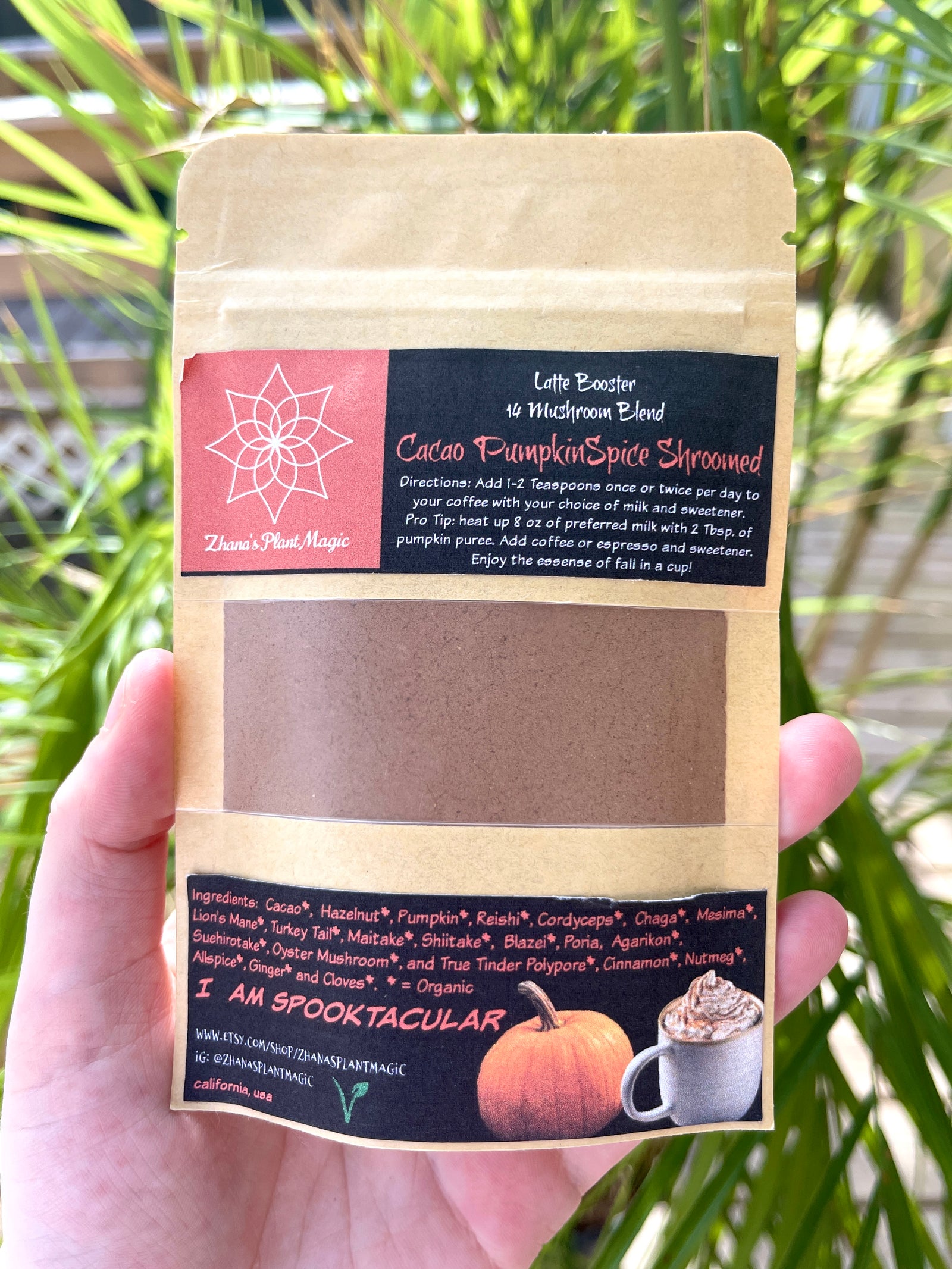 Cacao Pumpkin Spice Mushroom Blend