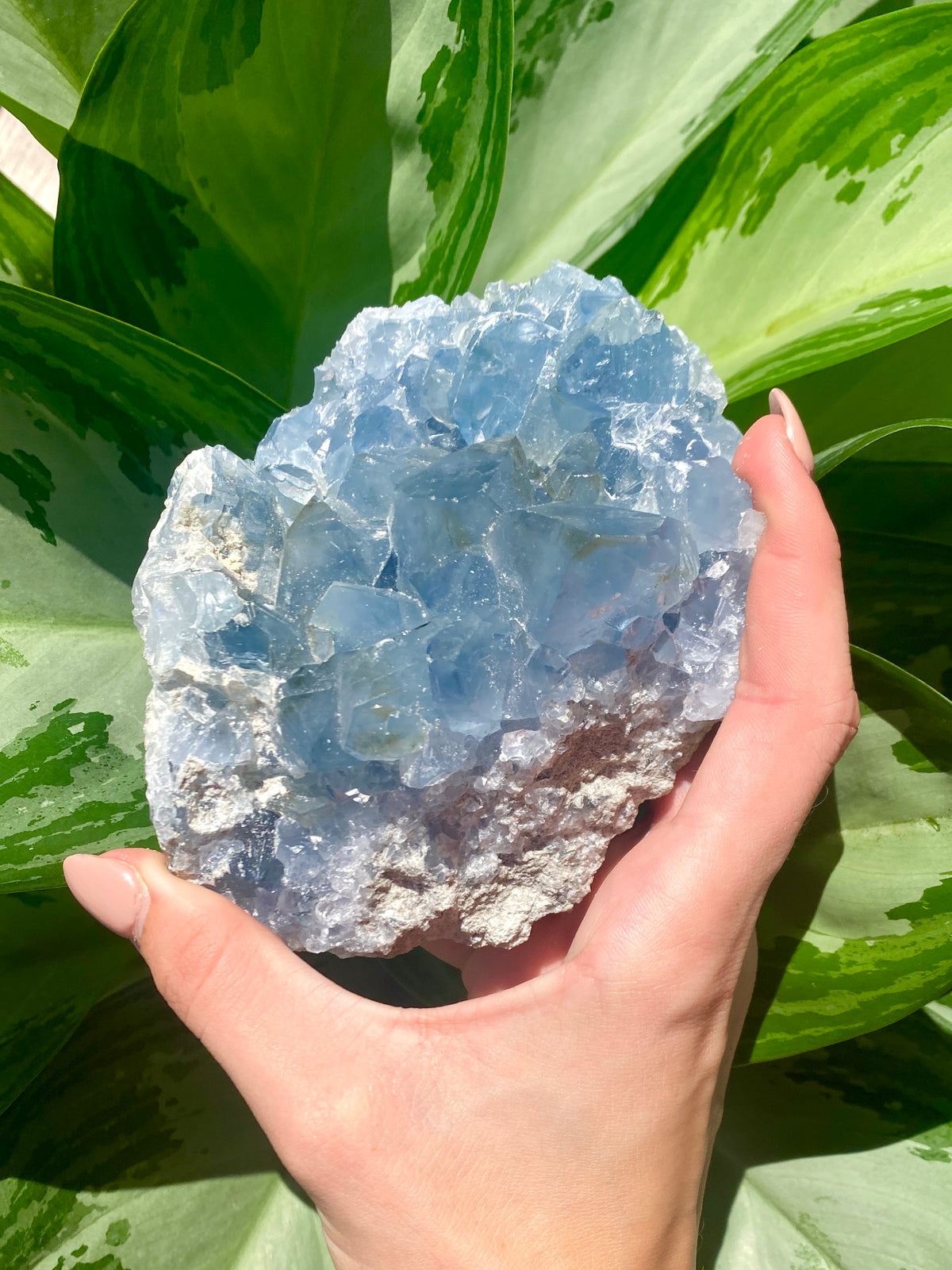Celestite Rough Clusters