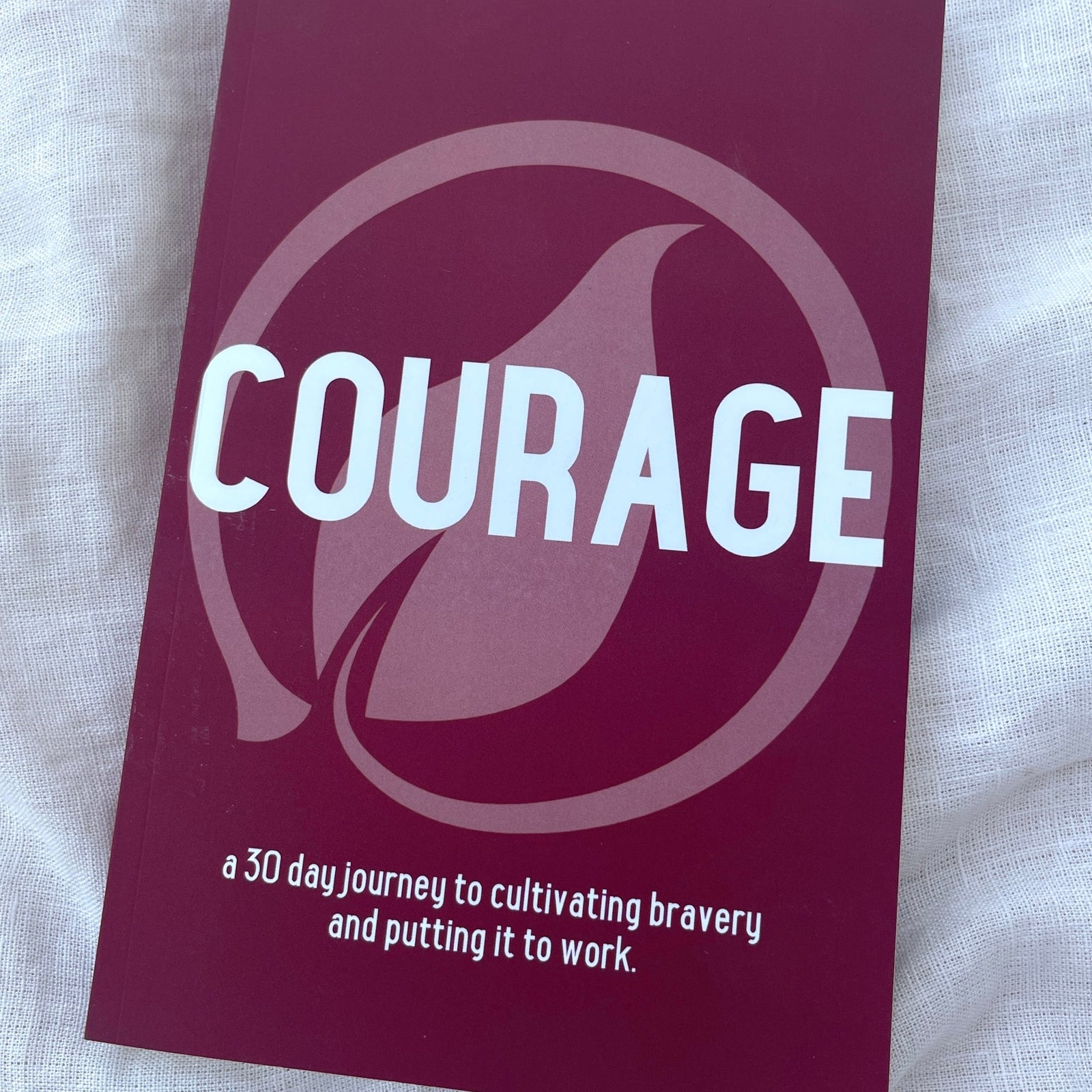 Courage 30 Day Guided Journal