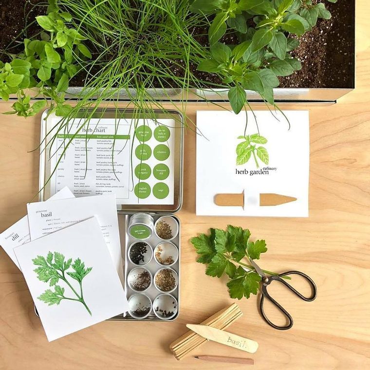 Culinary Herb Garden