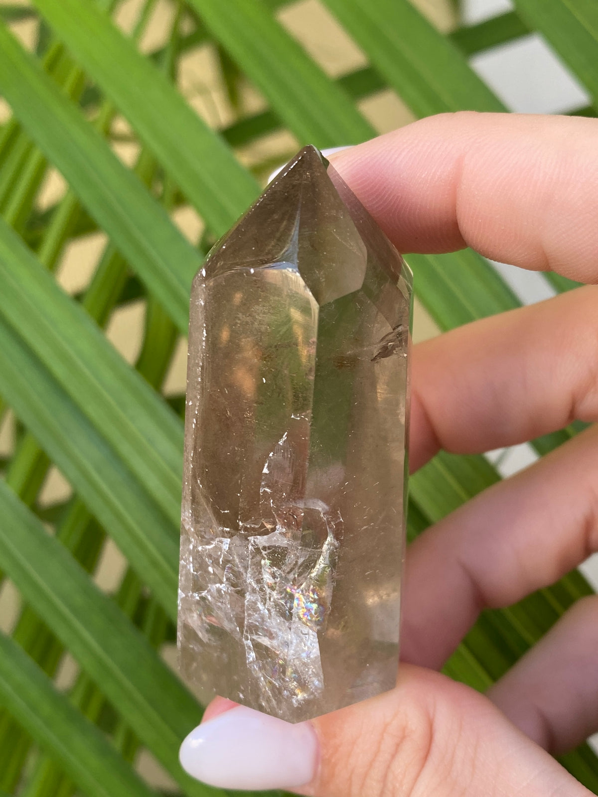 Garden Quartz Points