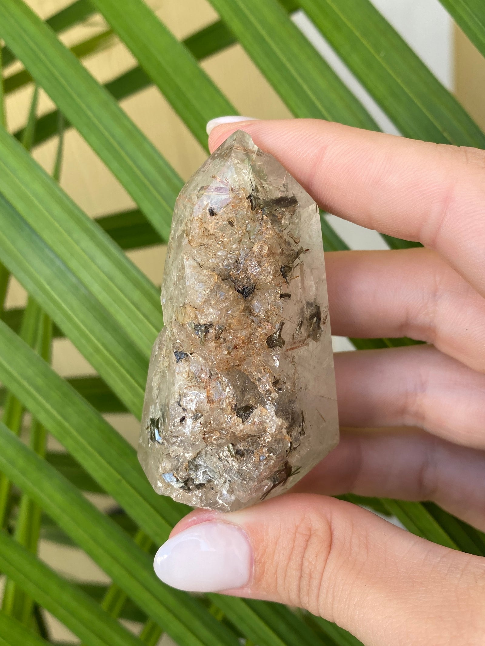 Garden Quartz Points