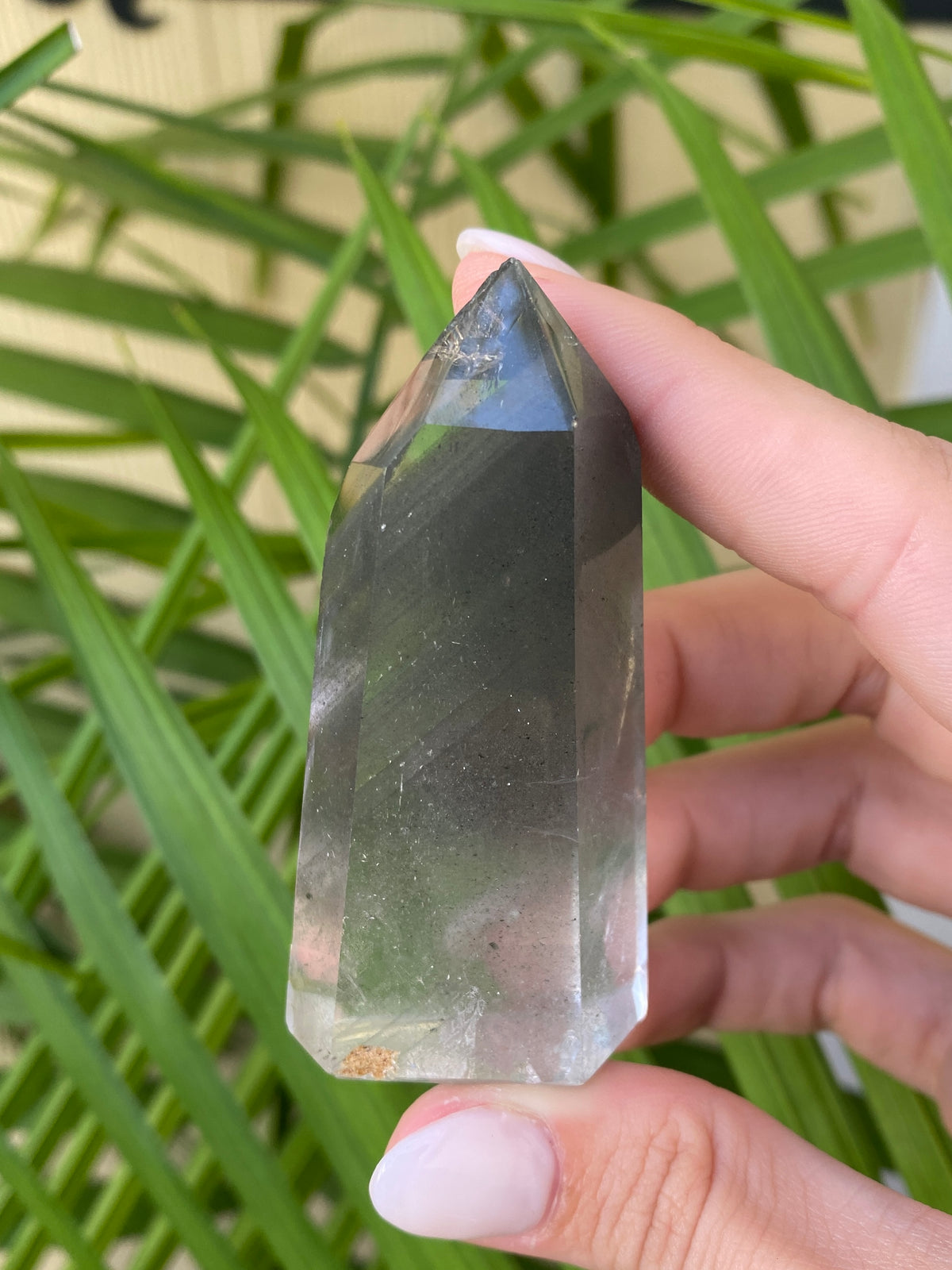 Garden Quartz Points
