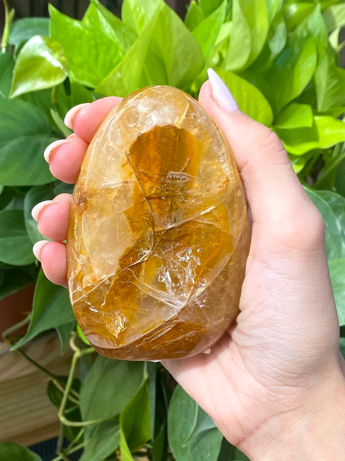 Golden Healer Quartz Flows