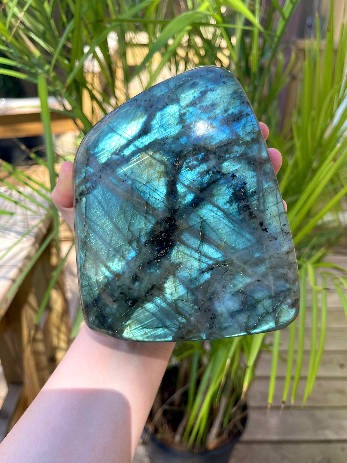 Labradorite Free Forms