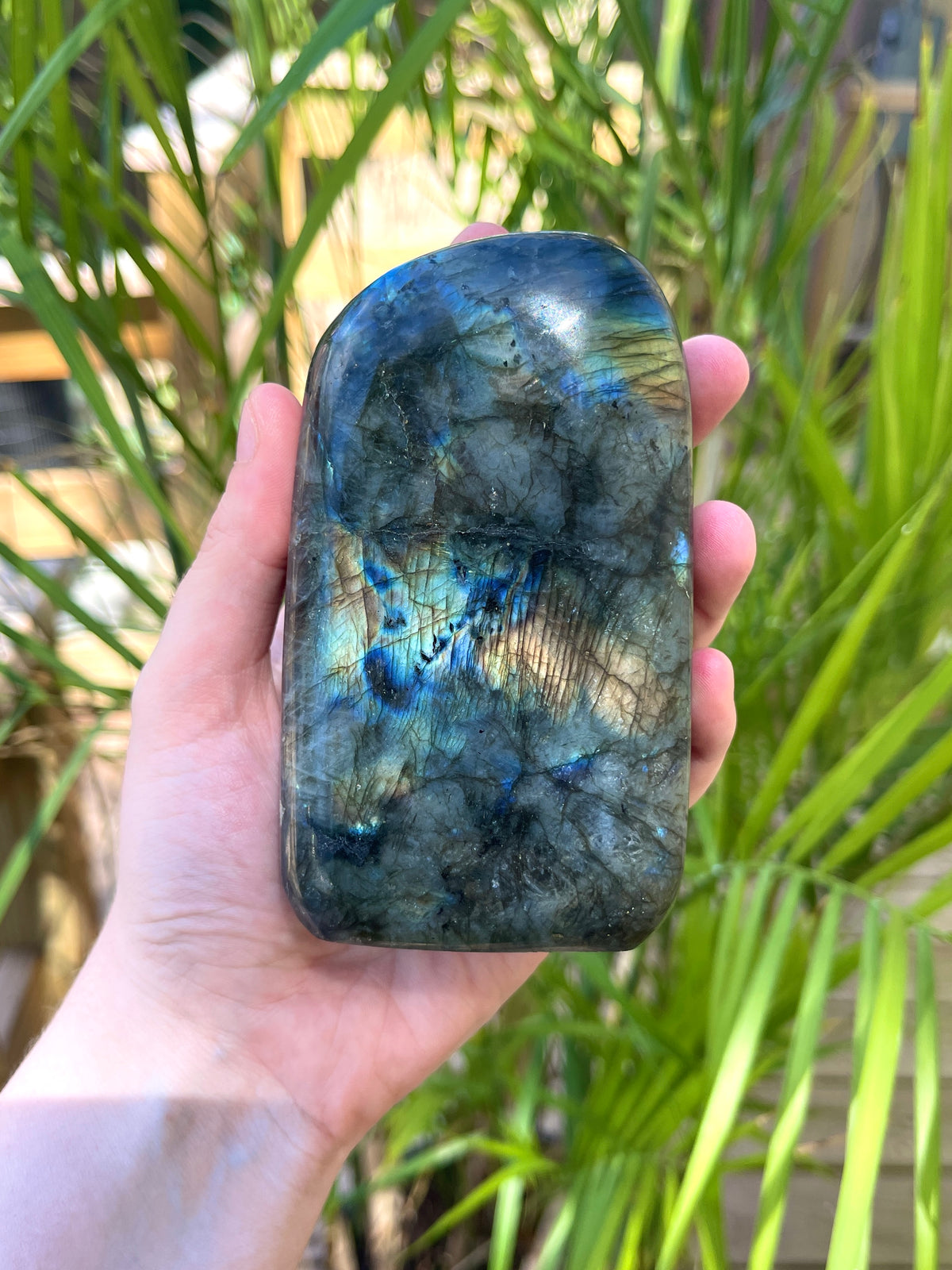 Labradorite Free Forms