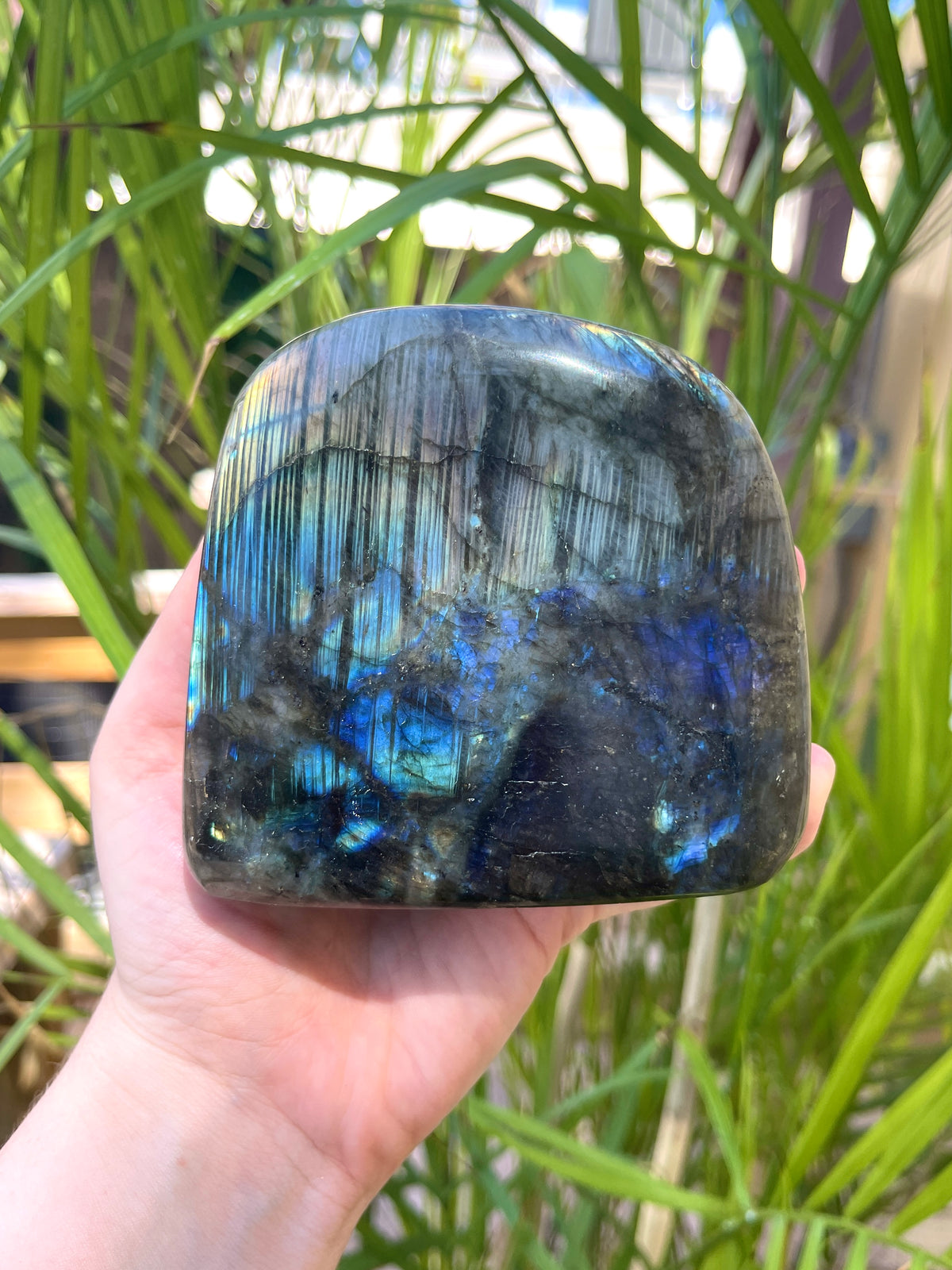 Labradorite Free Forms