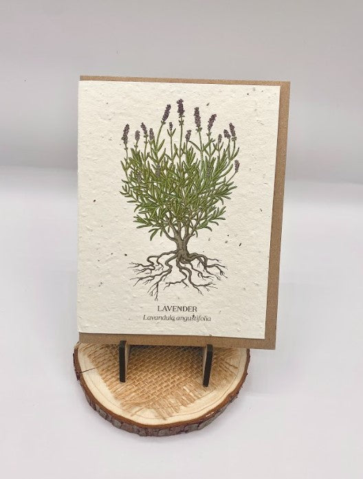 Lavender Plantable Wildflower Card