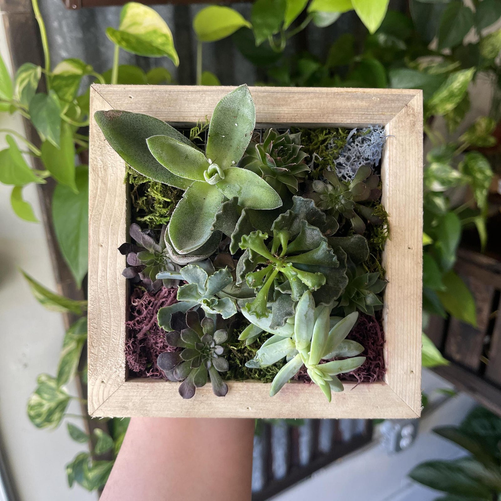 Living Wall Workshop