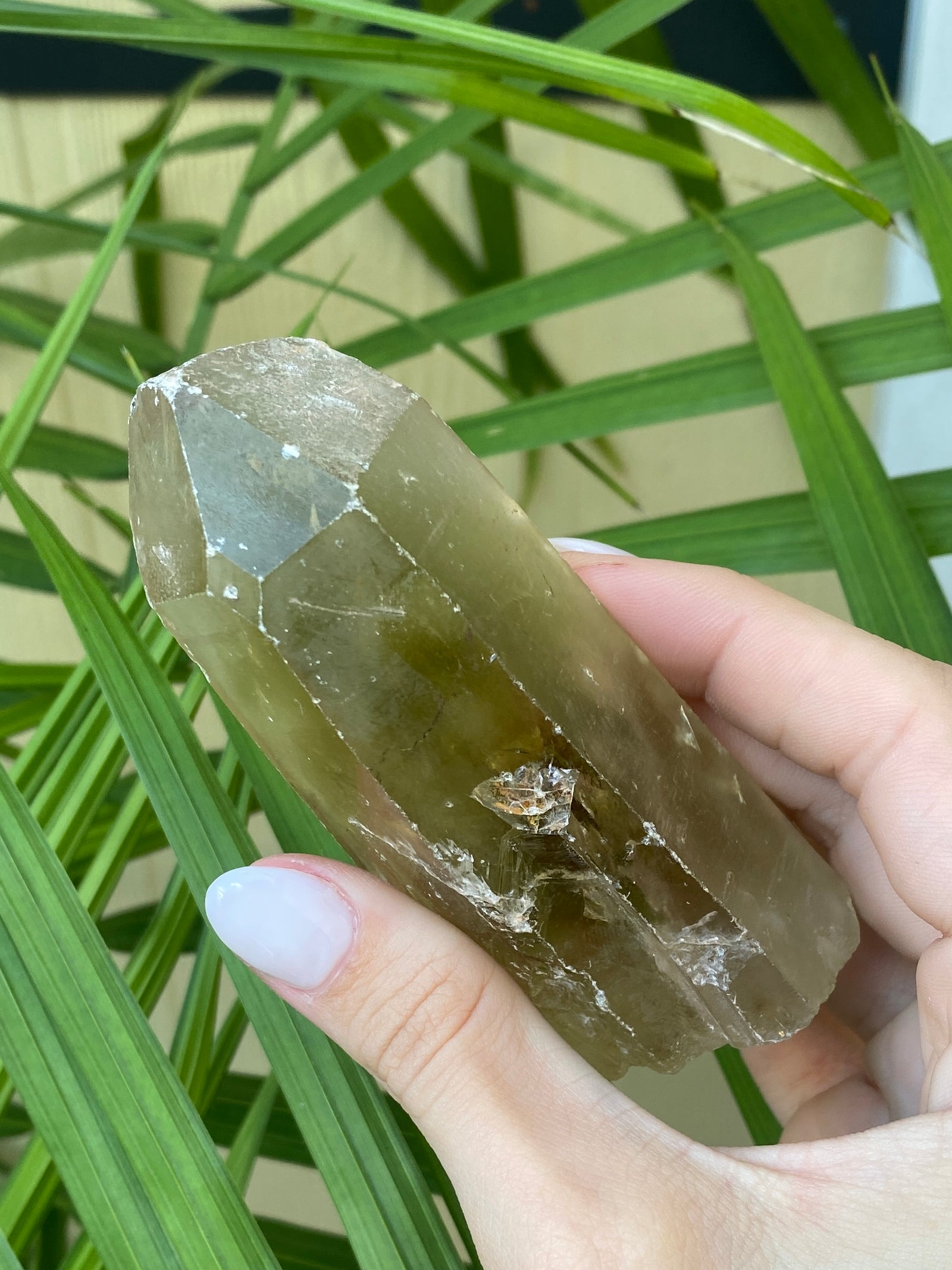 Natural Smoky Citrine Rough Points